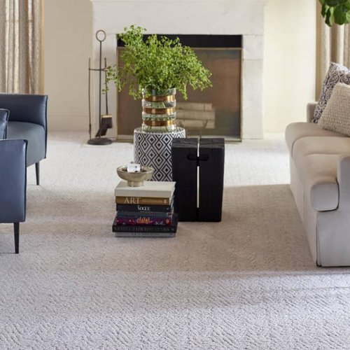 Living Room Pattern Carpet - Color Tile & Carpet in Springfield, MO