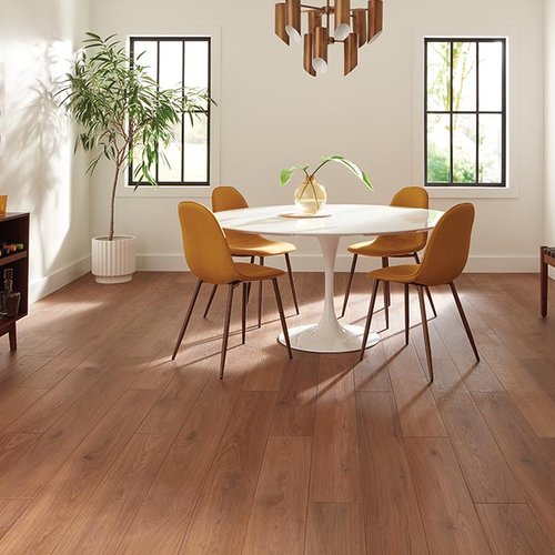 Dining Room Luxury Vinyl Plank LVP - Color Tile & Carpet in Springfield, MO